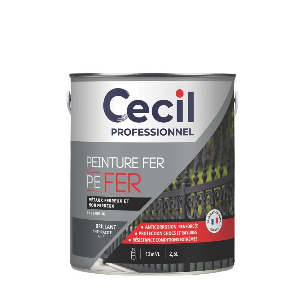 Peinture fer brillante Cecil Professionnel anthracite 2,5L