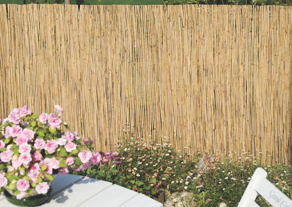 Brise-vue de jardin en roseau Apollo 4 x 1m