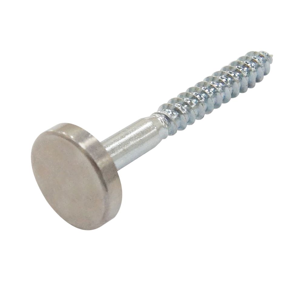 10 vis pour miroir Easyfix calibre 8 x 1½" chromées polies