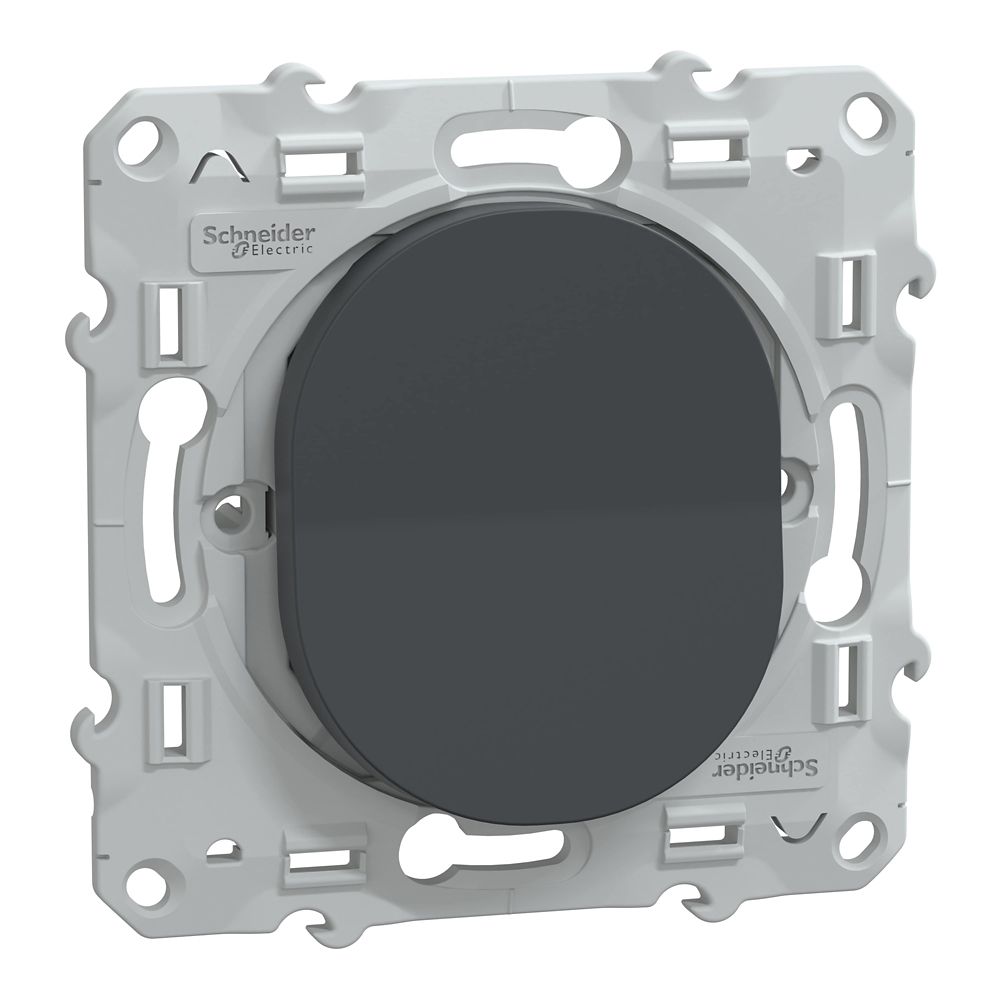 Va-et-vient 1 poste Ovalis Anthracite Schneider