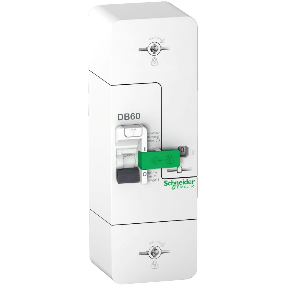 Disjoncteur de branchement 1P+N 30/45/60A 500mA Instantané Resi9 Schneider Electric