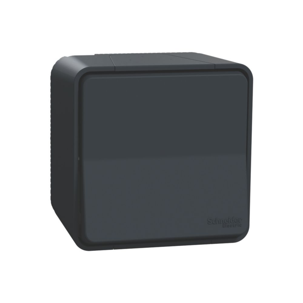 Va-et-vient étanche complet Mureva 1 poste gris Schneider