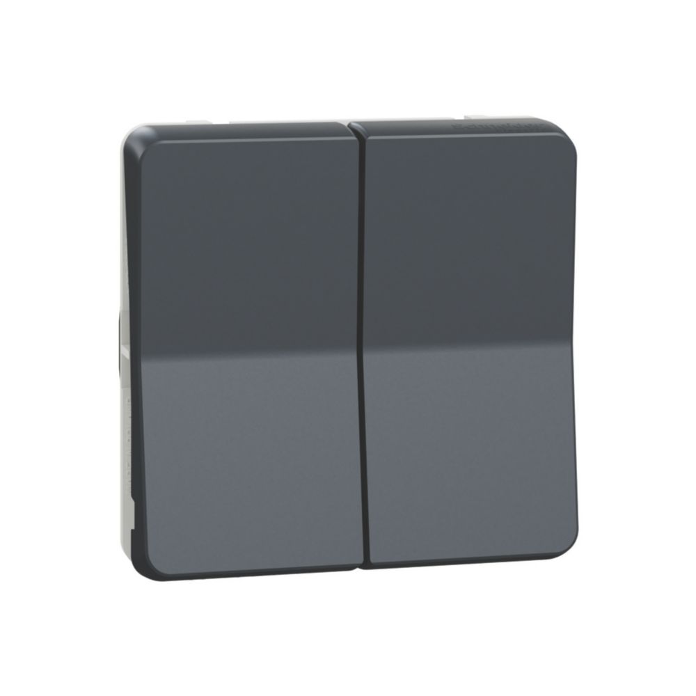 Boutons double va-et-vient étanche composable Mureva 1 poste gris Schneider