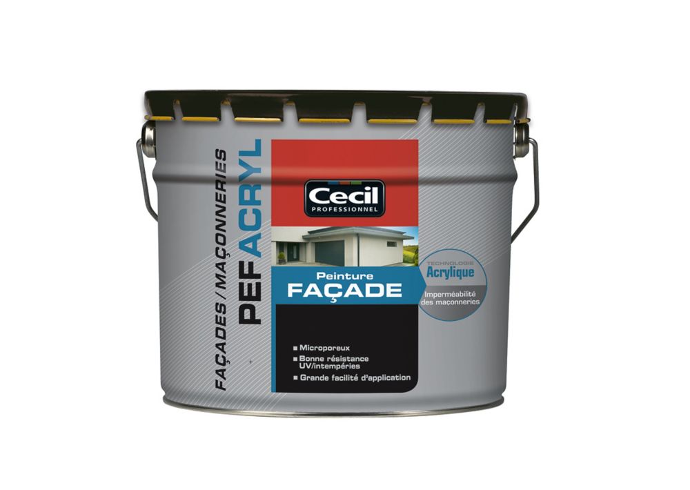 Peinture de façade acrylique Cecil Professionnel blanc 10L
