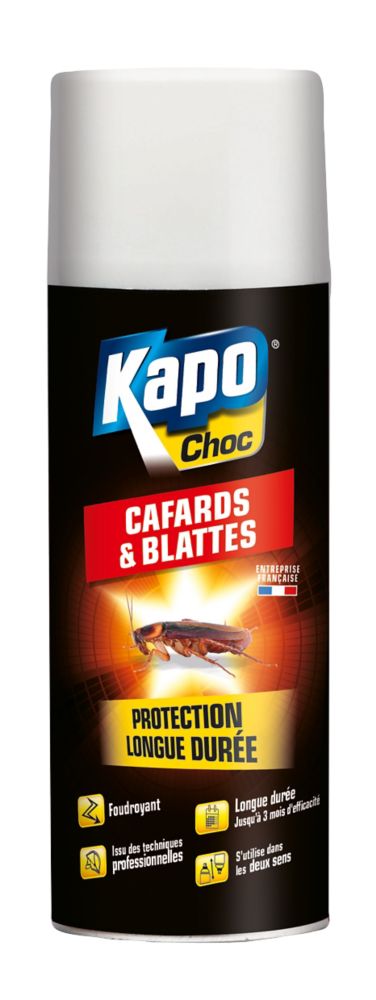 Aérosol éclair contre les cafards et les insectes rampants Kapo 400ml