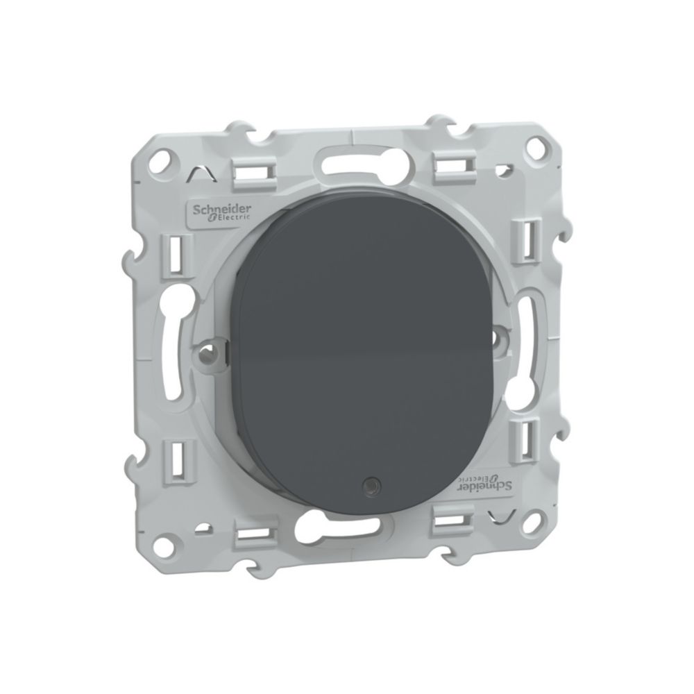 Va-et-vient lumineux 1 poste Ovalis Anthracite Schneider