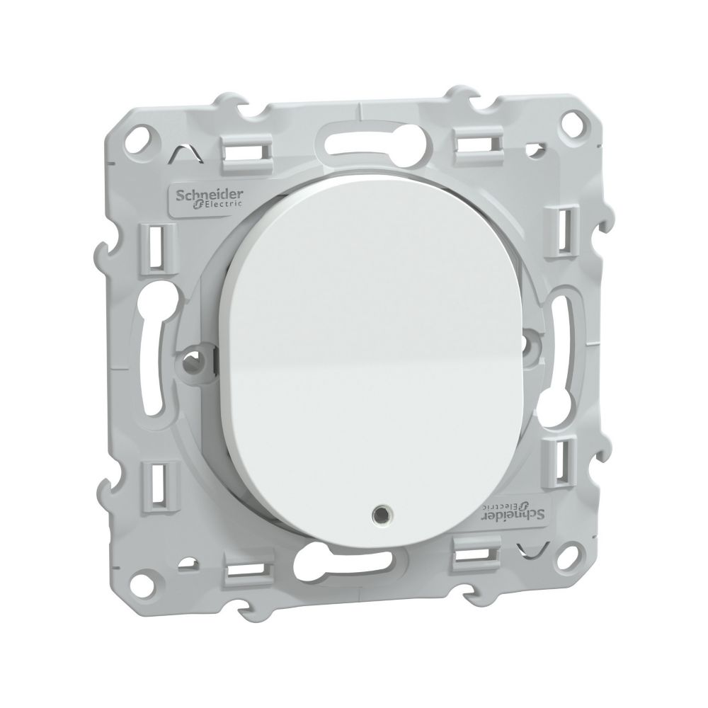 Va-et-vient lumineux 1 poste Ovalis Blanc Schneider
