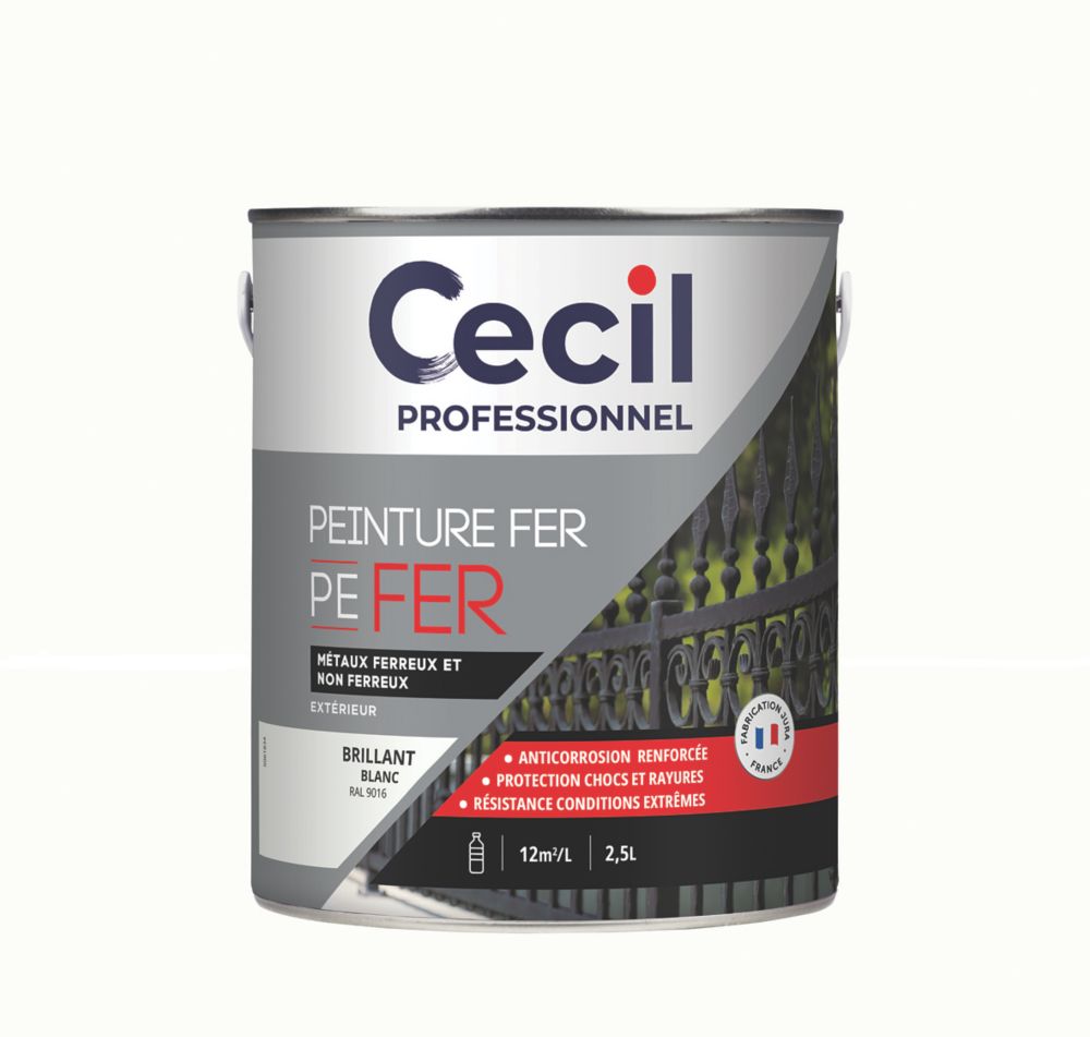 Peinture fer brillante Cecil Professionnel blanc 2,5L