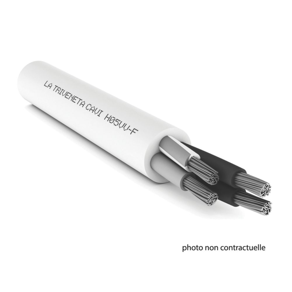 Câble électrique souple HO5VV-F 4G2,5 mm² 50m gris