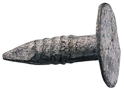 0,5kg de clous à bardeaux galvanisés Easyfix 3 x 20mm