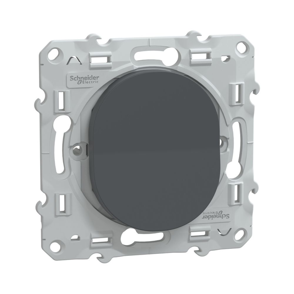 Va-et-vient 1 poste Ovalis Anthracite Schneider