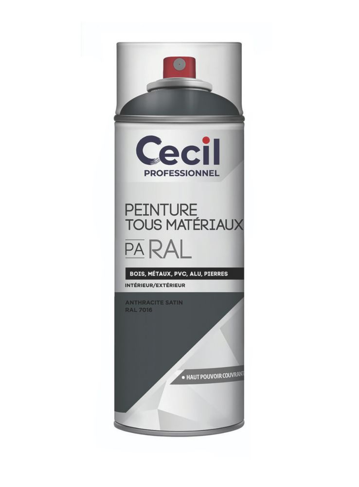 Peinture imperméable multisupports en aérosol Cecil Professional 400ml gris anthracite satin