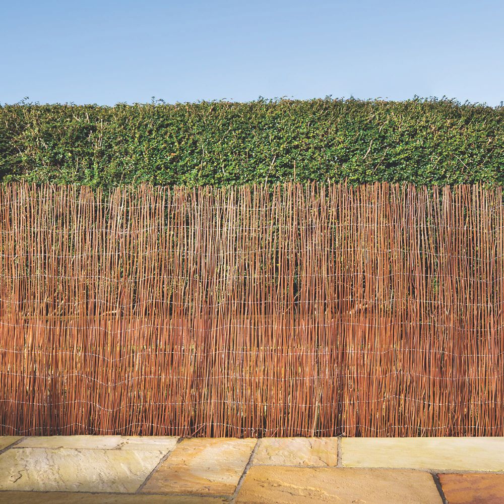 Canisse brise vue jardin en fougère en rouleau Apollo 4 x 2m