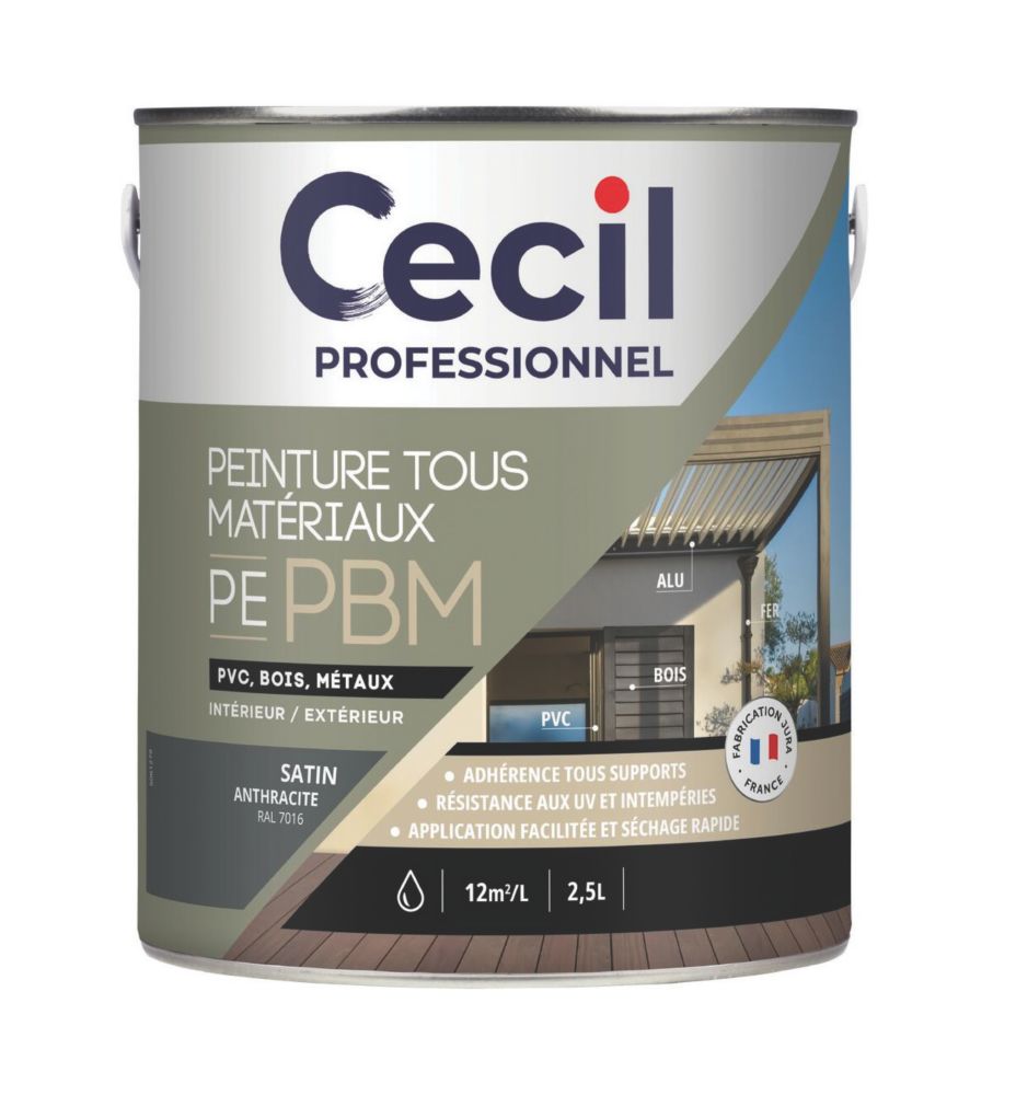 Peinture pour maçonnerie anthracite lisse Cecil Professional 2,5L