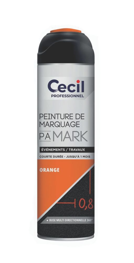 Peinture multisupports Cecil Professional 500ml Orange Mat