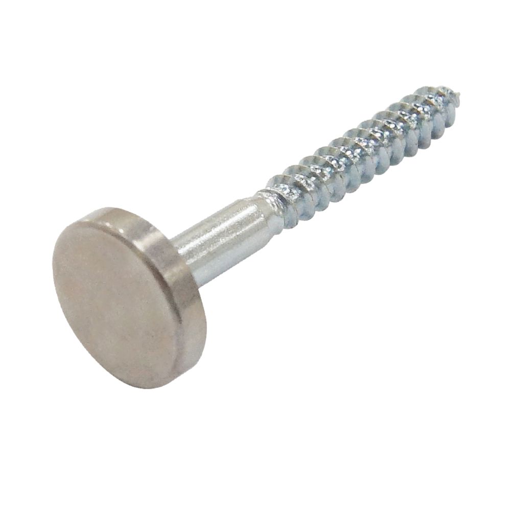 10 vis pour miroir Easyfix calibre 8 x 1¼" chromées polies