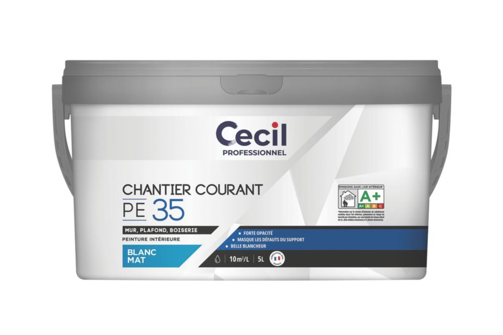 Peinture imperméable multisupports Cecil Professional 400ml gris anthracite satin