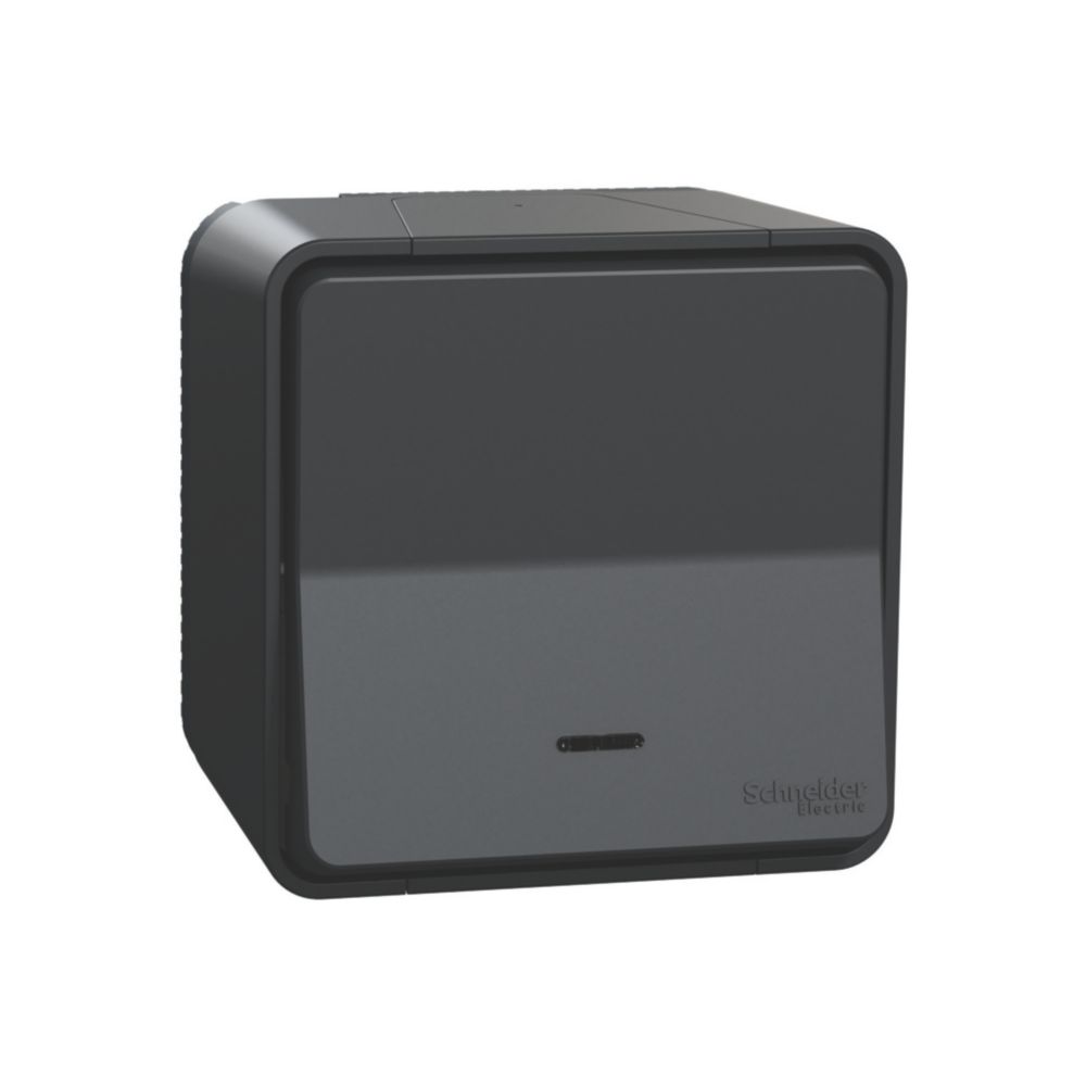 Poussoir étanche lumineux complet Mureva 1 poste gris Schneider