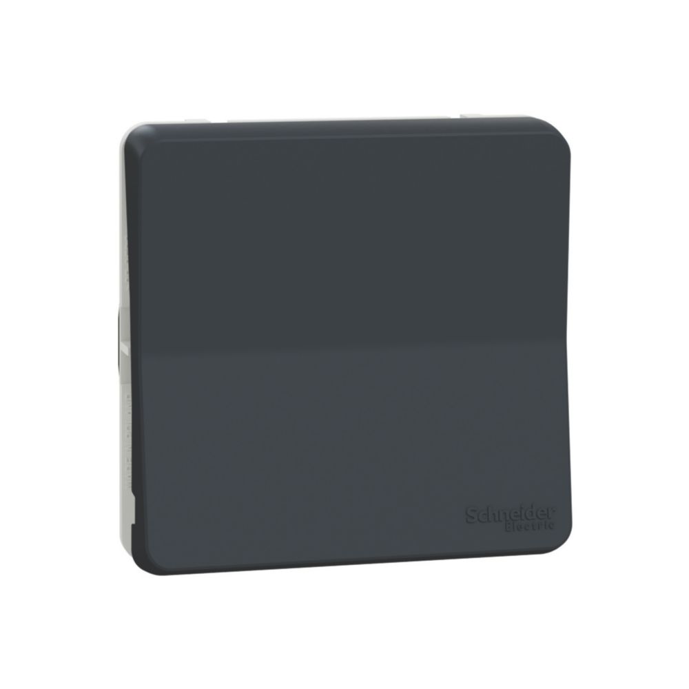 Va-et-vient étanche étanche composable Mureva 1 poste gris Schneider