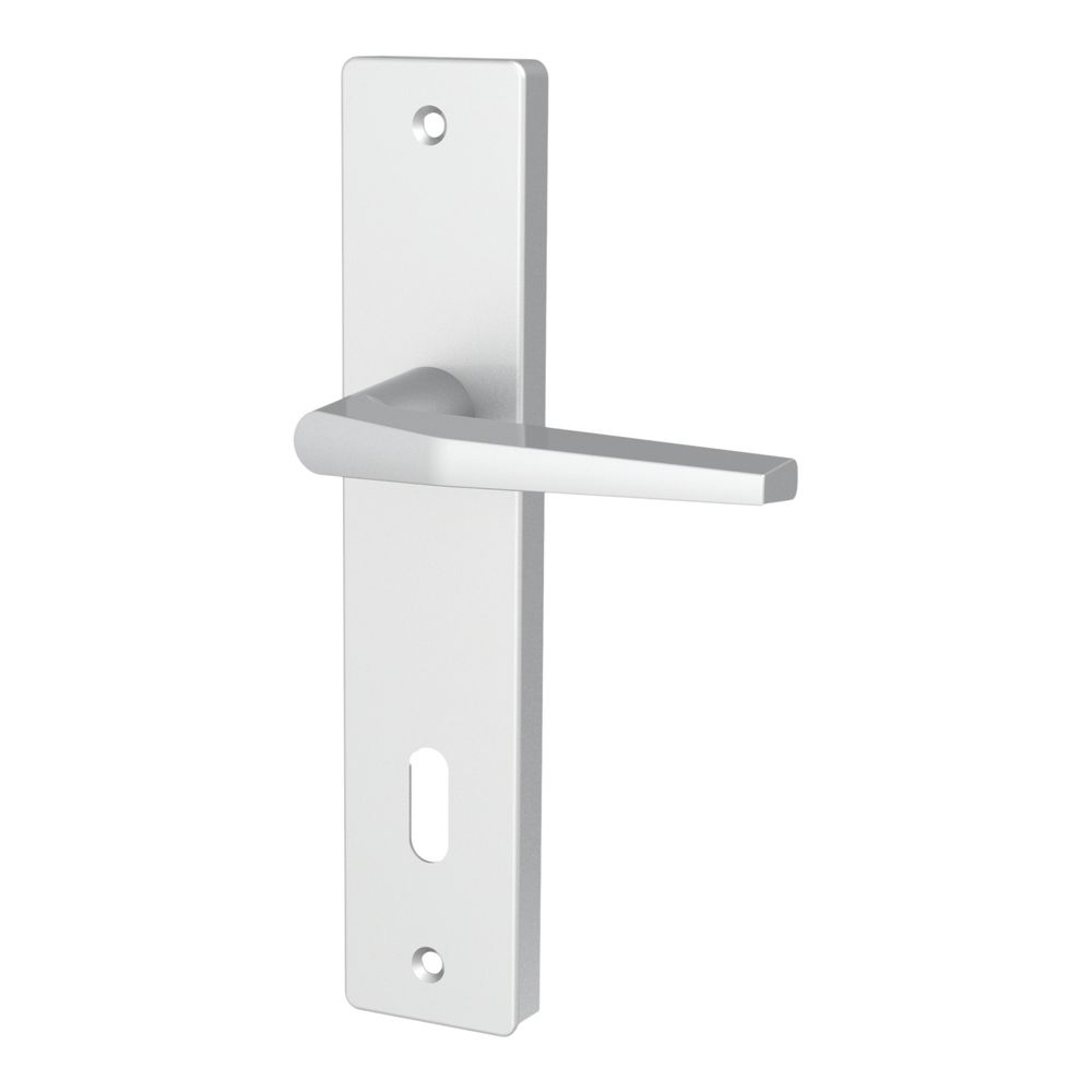    Paire de poignées de porte argent satiné, lot de 2