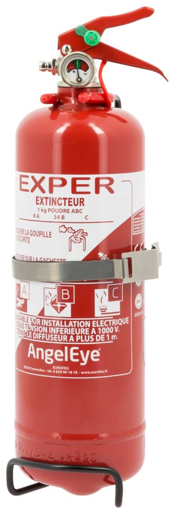 Extincteur à poudre à pression auxiliaire AngelEye ANG008785 1kg, lot de 1