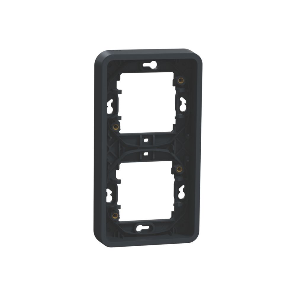 Cadre vertical encastré étanche Mureva 2 postes gris Schneider