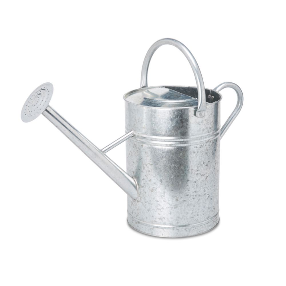 Arrosoir en acier 12L avec pomme d'arrosage