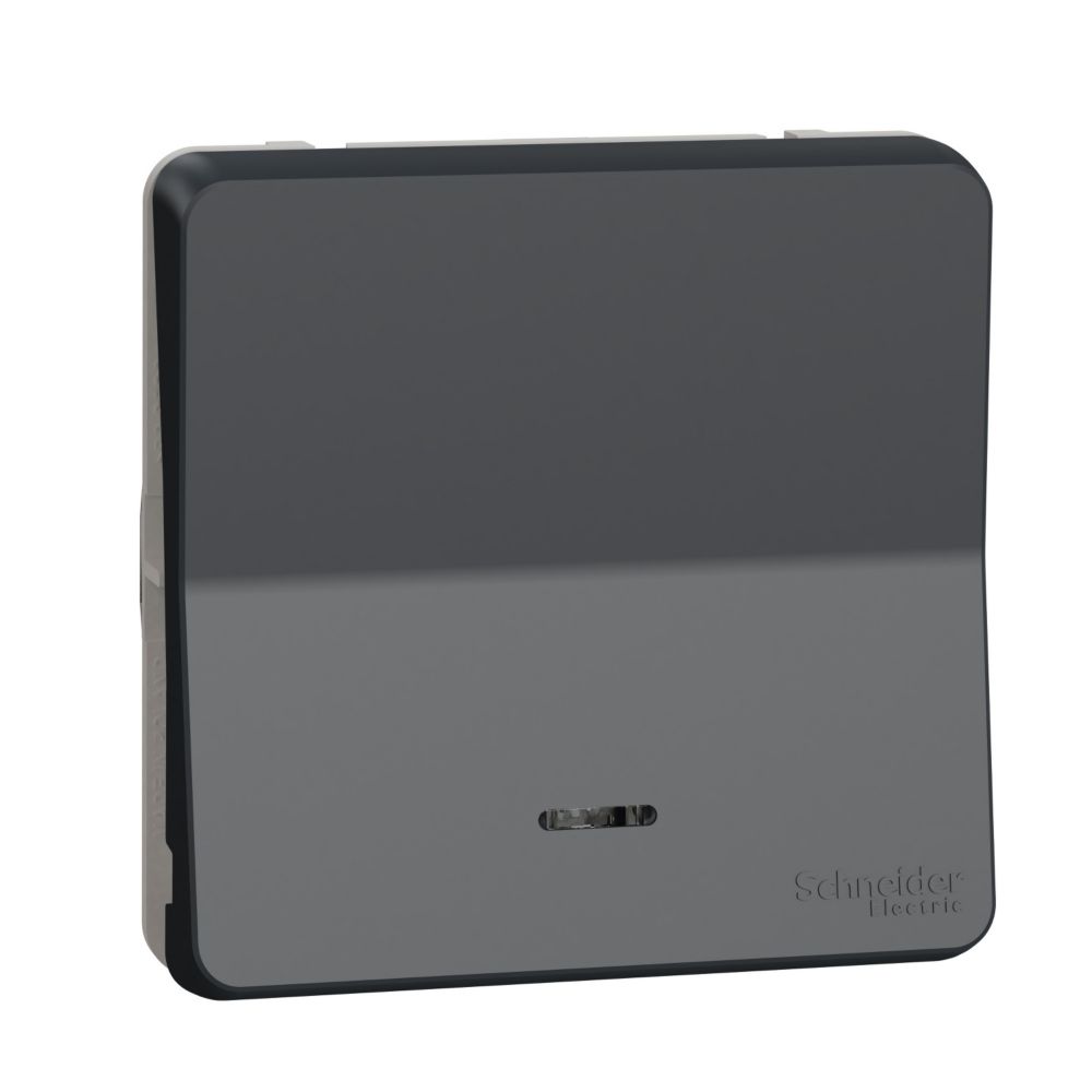 Bouton va-et-vient étanche lumineux composable Mureva 1 poste gris Schneider