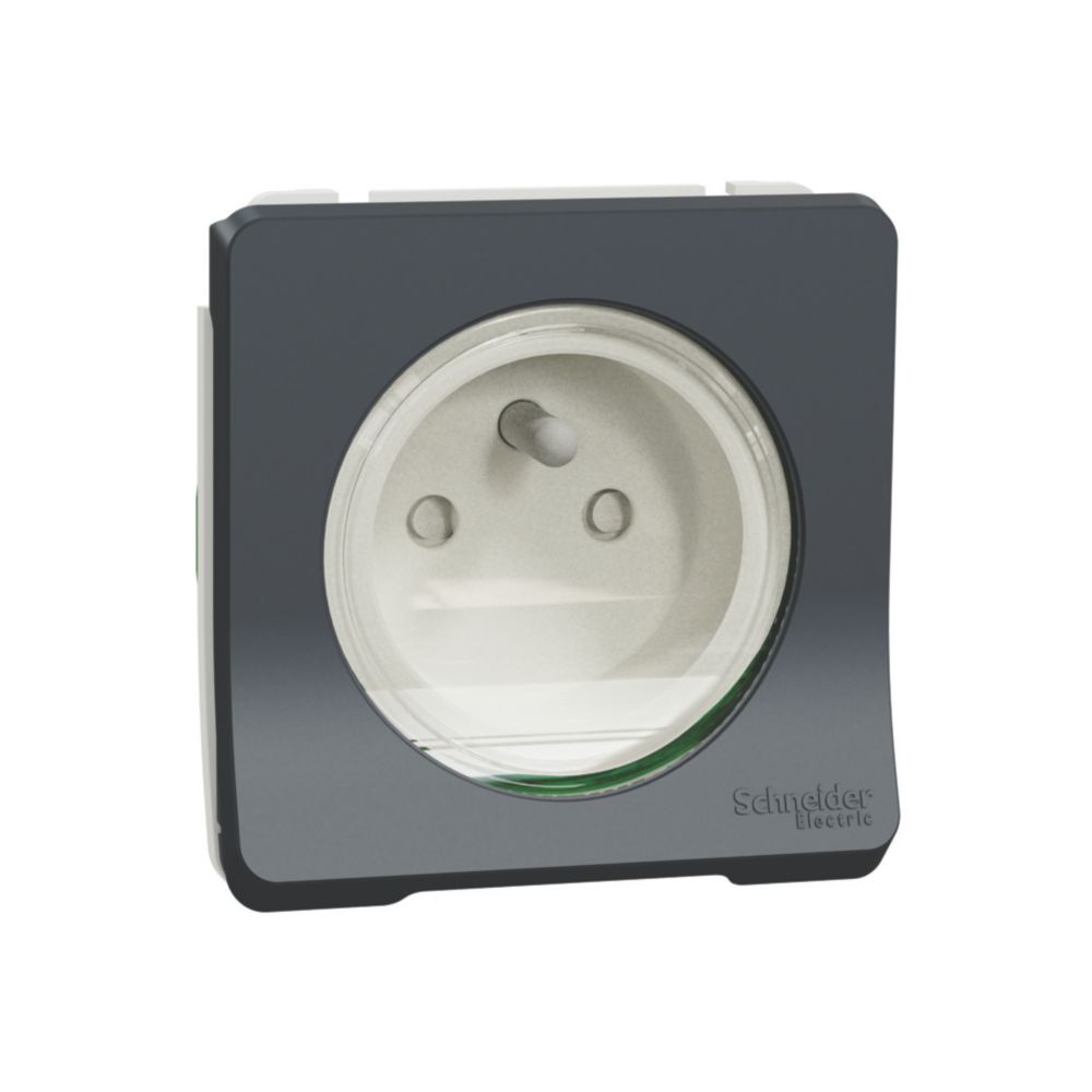 Prise terre étanche composable Mureva 1 poste gris Schneider